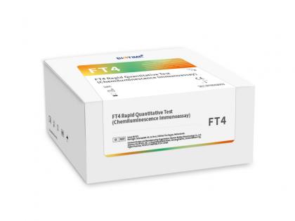 FT4 Rapid Quantitative Test (Chemiluminescence Immunoassay)