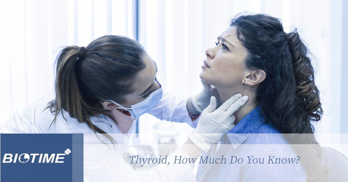 Thyroid, How Much Do You Know?